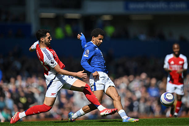 任何关于球 任何关于球