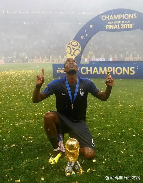 适应能力 适应能力